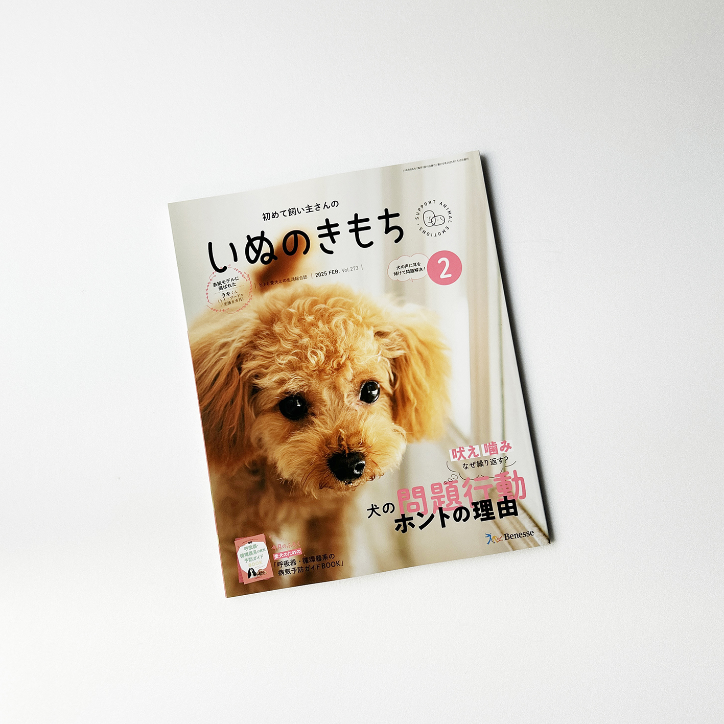 いぬのきもち magazine cover